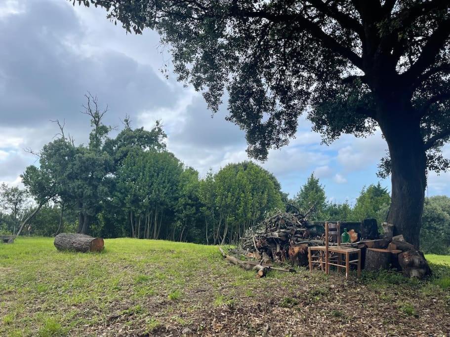 La Casita Del Encinar Villa Lekeitio Buitenkant foto